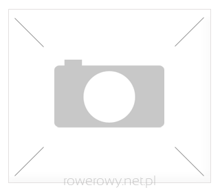 Rower ROMET Wagant 1 LTD 2021